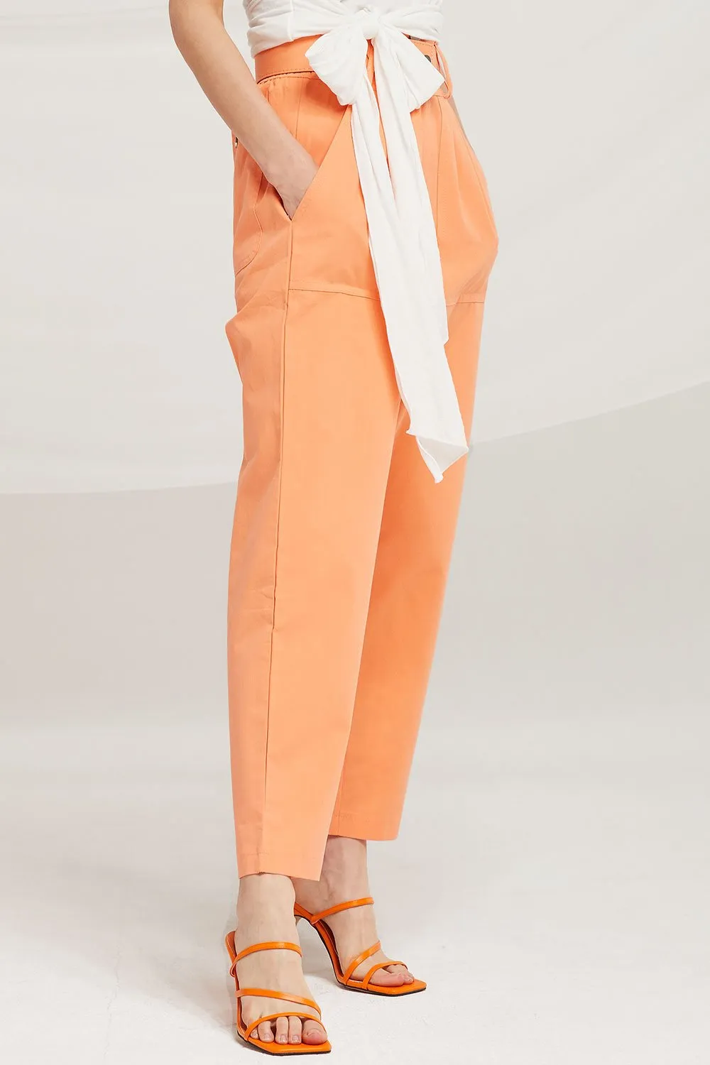 Gianna Belted Slouchy Pants