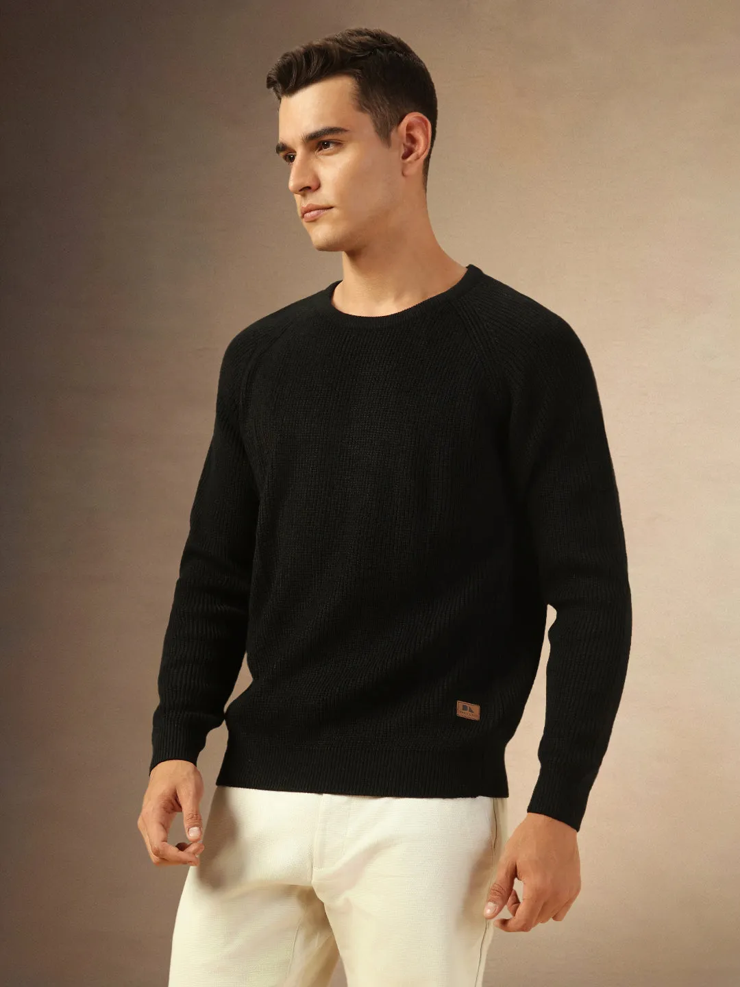 Men's Black Round Neck Full Sleeves Pullover Sweater