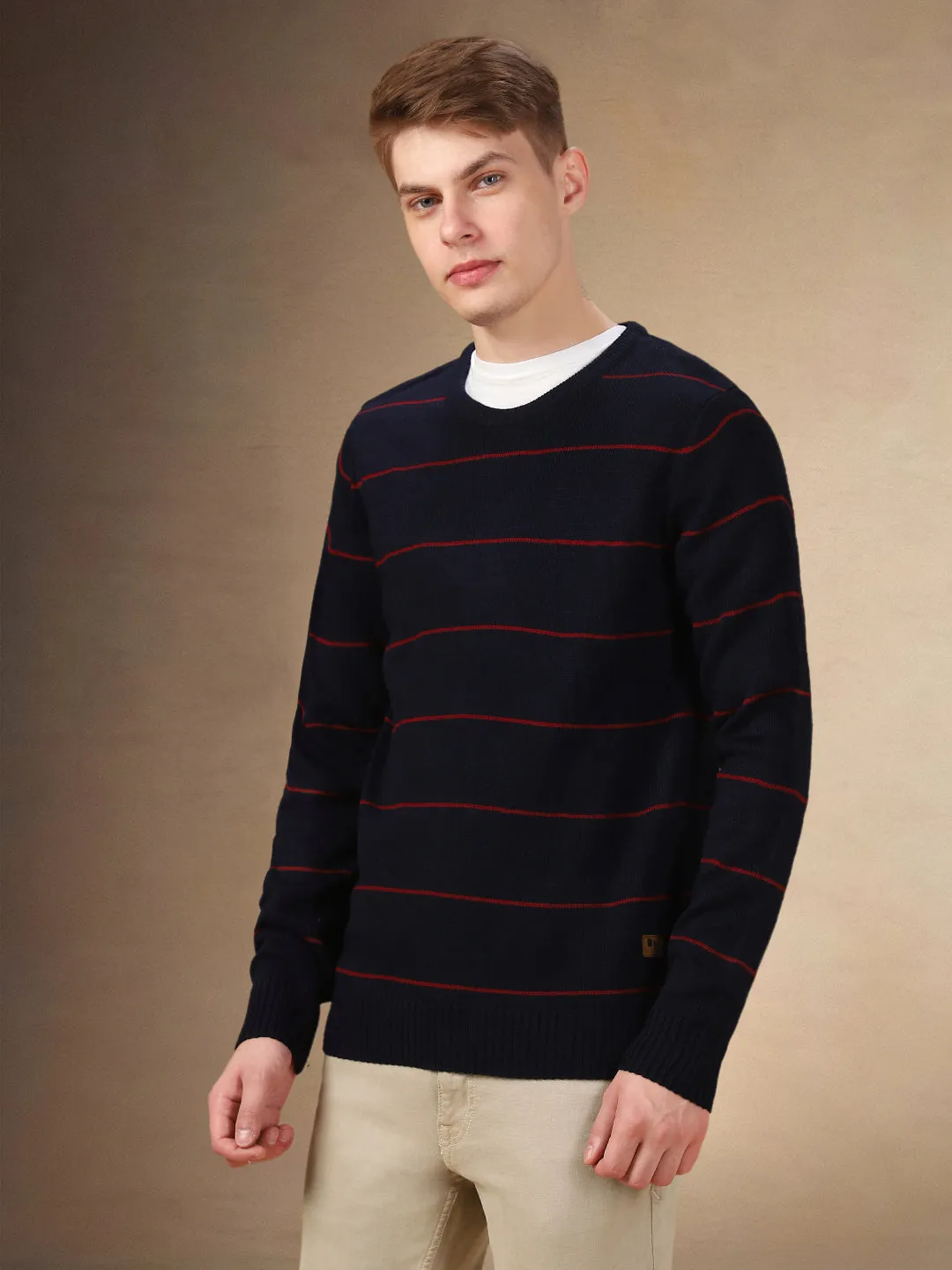 Men's Striped Round Neck Full Sleeves Regular Fit Sweater