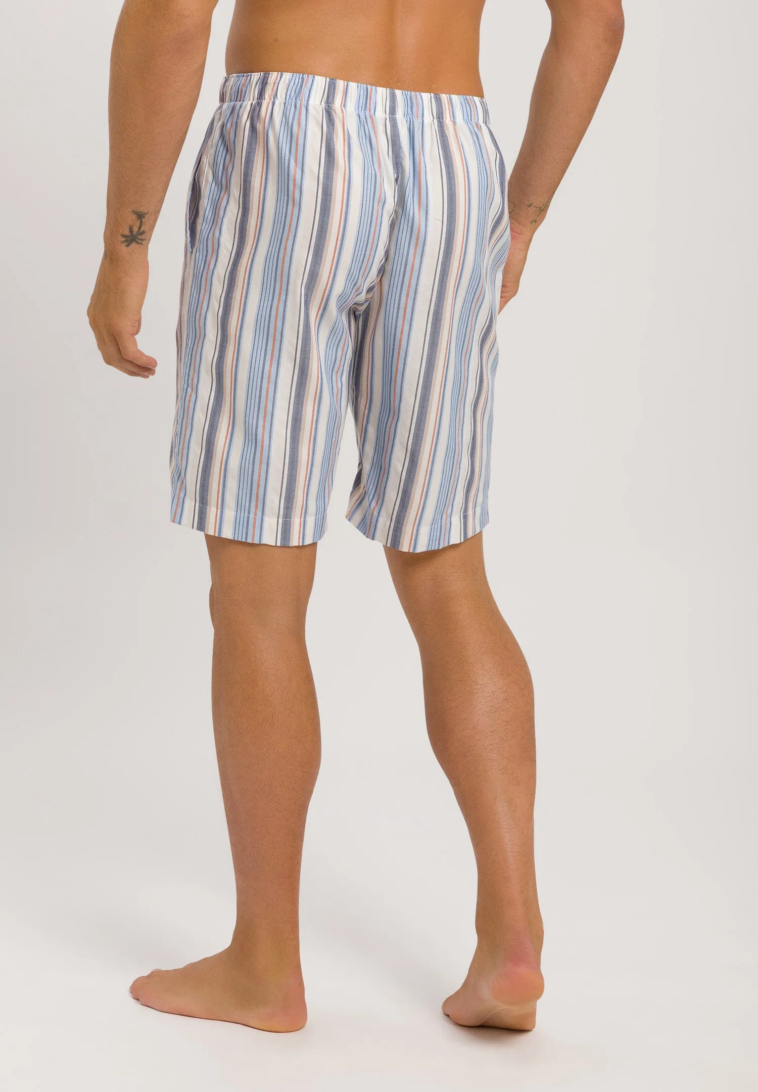 Night And Day Shorts | Canvas Stripe 75143-2875